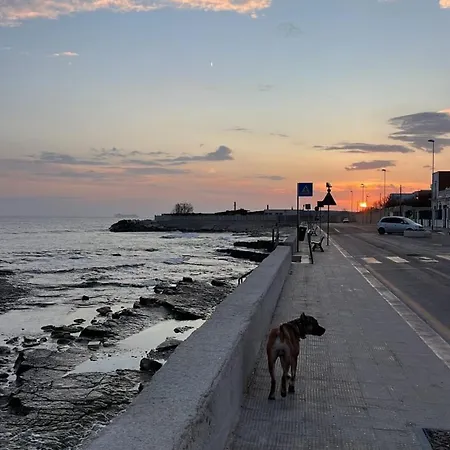 Casa Sophia 3* Μπάρι
